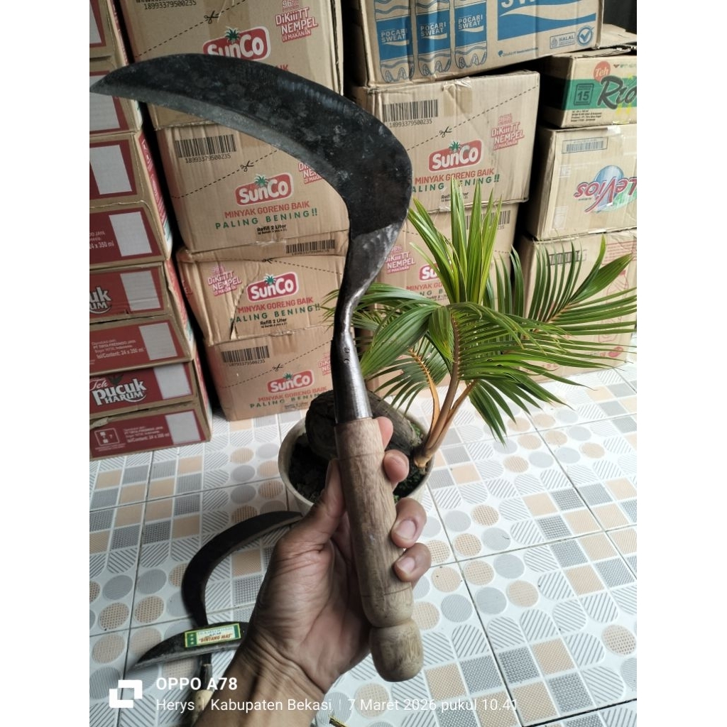 sabit/arit potong rumput ukuran besar tajam