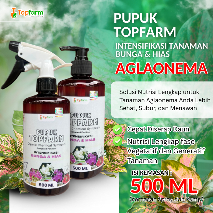 Pupuk Topfarm Terbaik / Pupuk Khusus Bunga Aglonema Siap Pakai / Pupuk Aglonema Cepat Beranak / Pupu