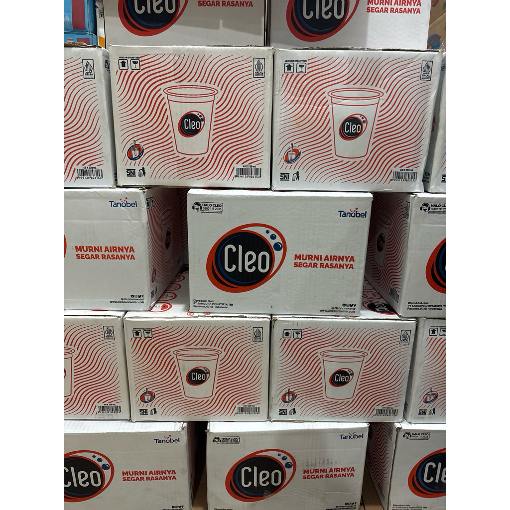 1 DUS CLEO 40 x 220ml air mineral cup