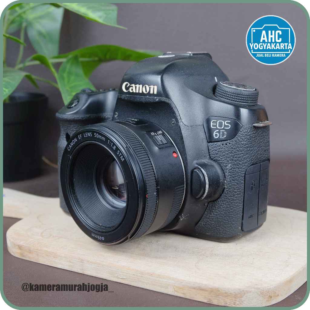 Canon 6D lensa 50mm F1.8 STM (472)