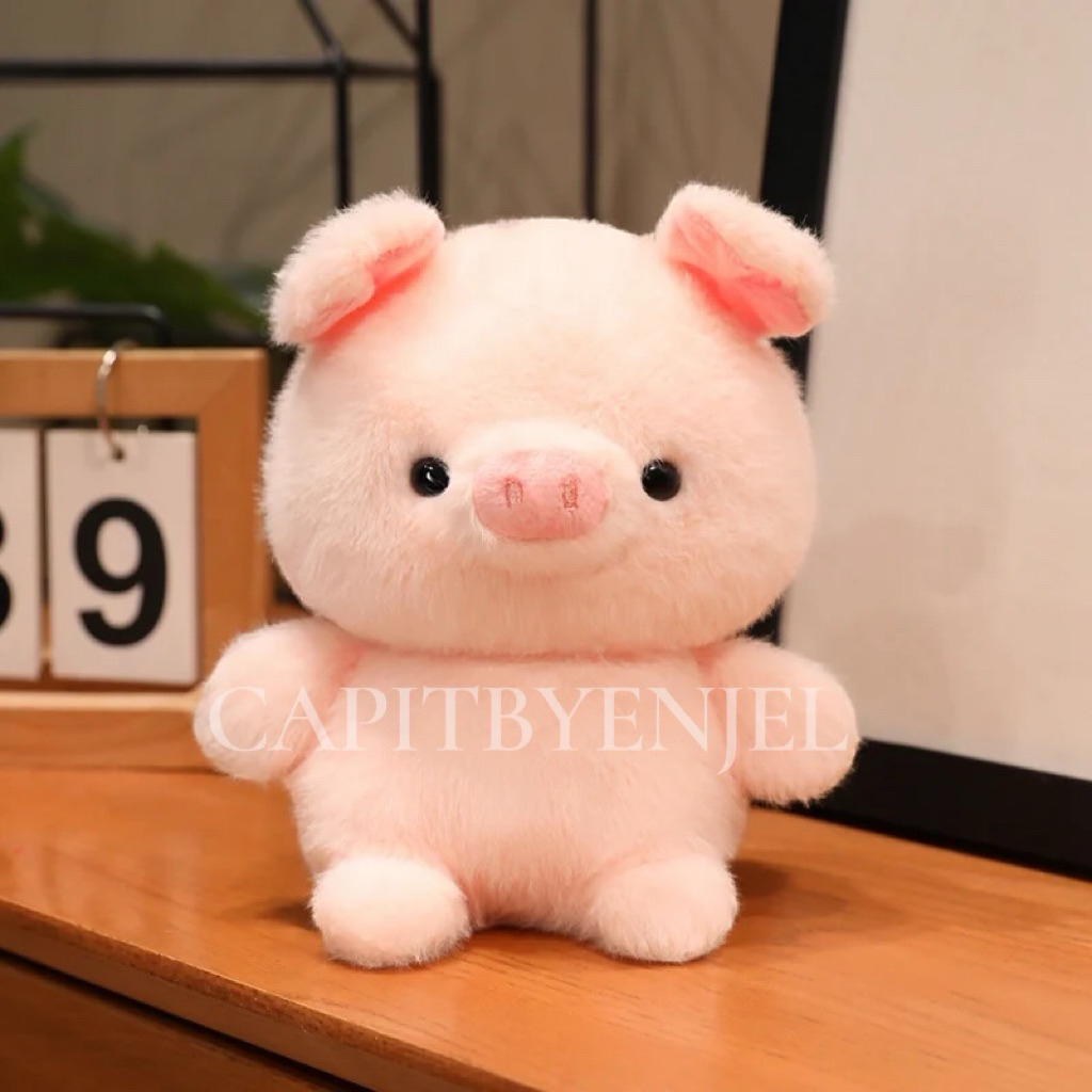 BONEKA CUTE BABI PINKY ORIGINAL OH SOME /kkv @capitbyenjel