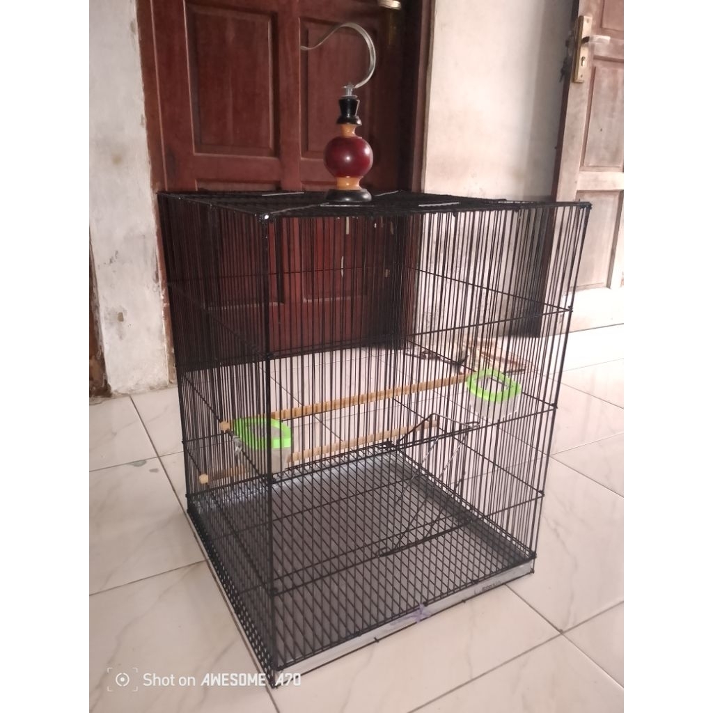kandang burung besi beo jalak kepodang dll