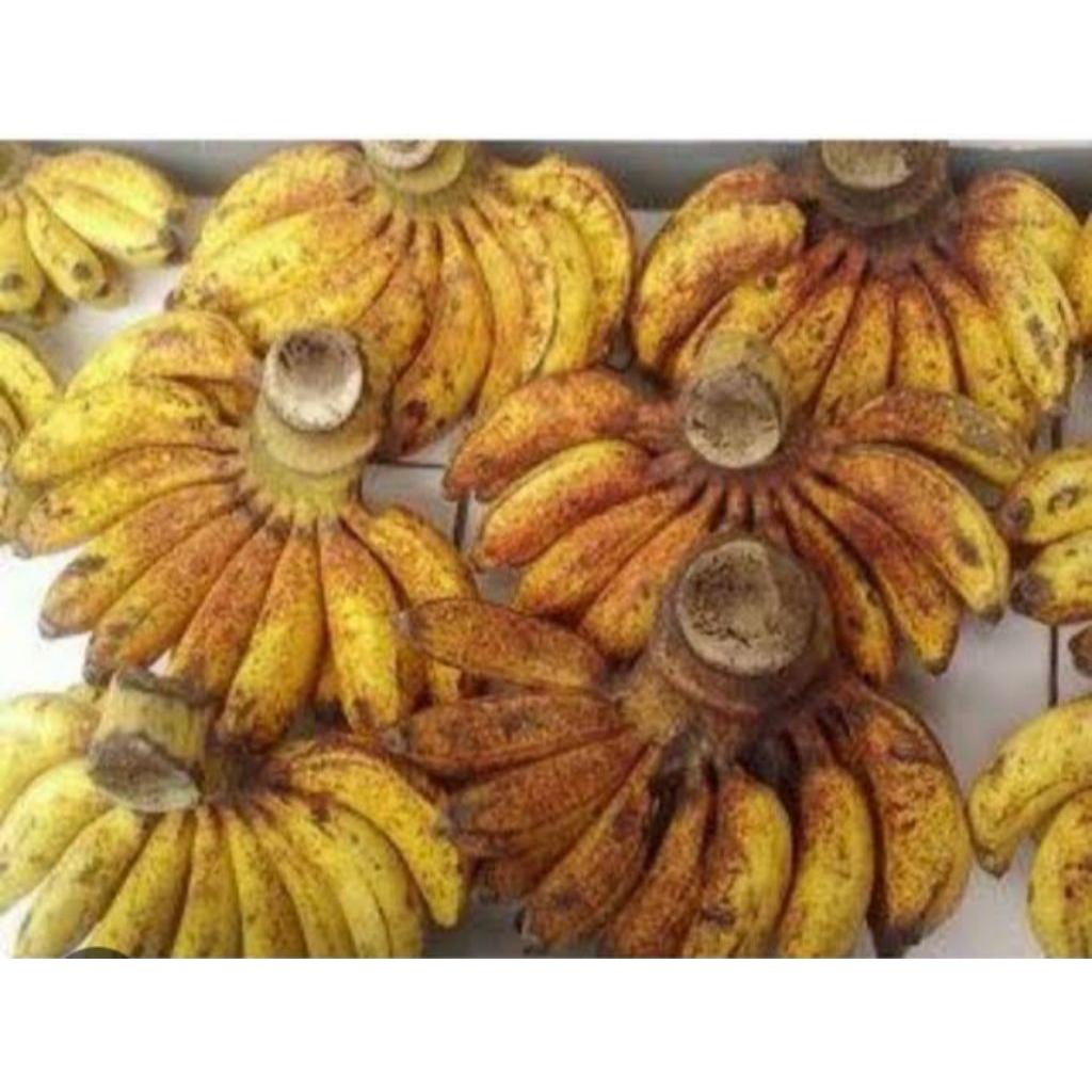 pisang raja cere