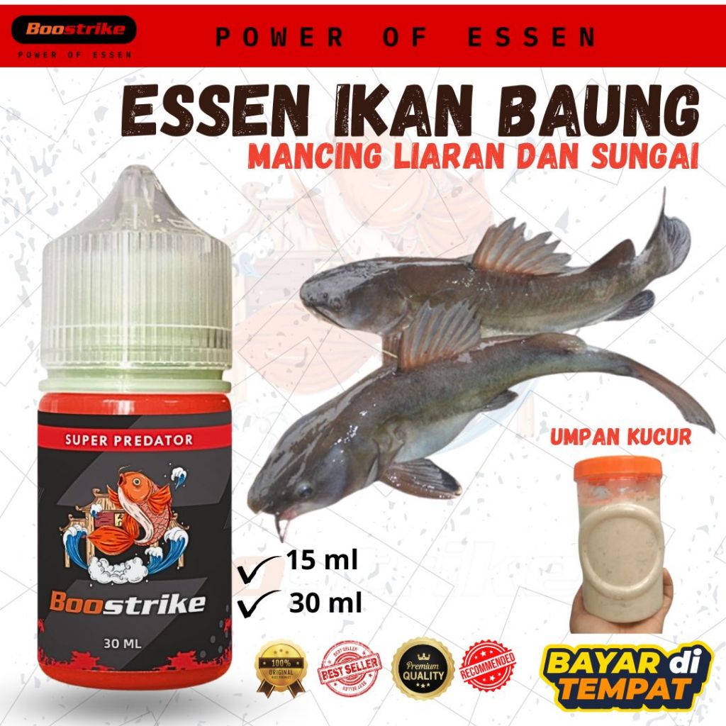 Essen Ikan Baung Paling Jitu Media Umpan Kucur | Essen Boostrike Isi 30ml