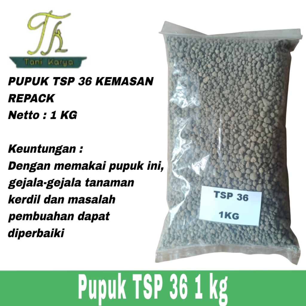PUPUK TSP 36 KEMASAN 1 KG / PUPUK PENYUBUR PEMBENAH TANAH