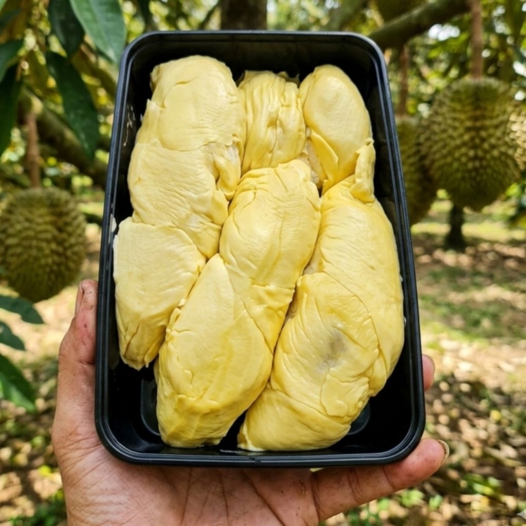 1 Box durian kupas premium