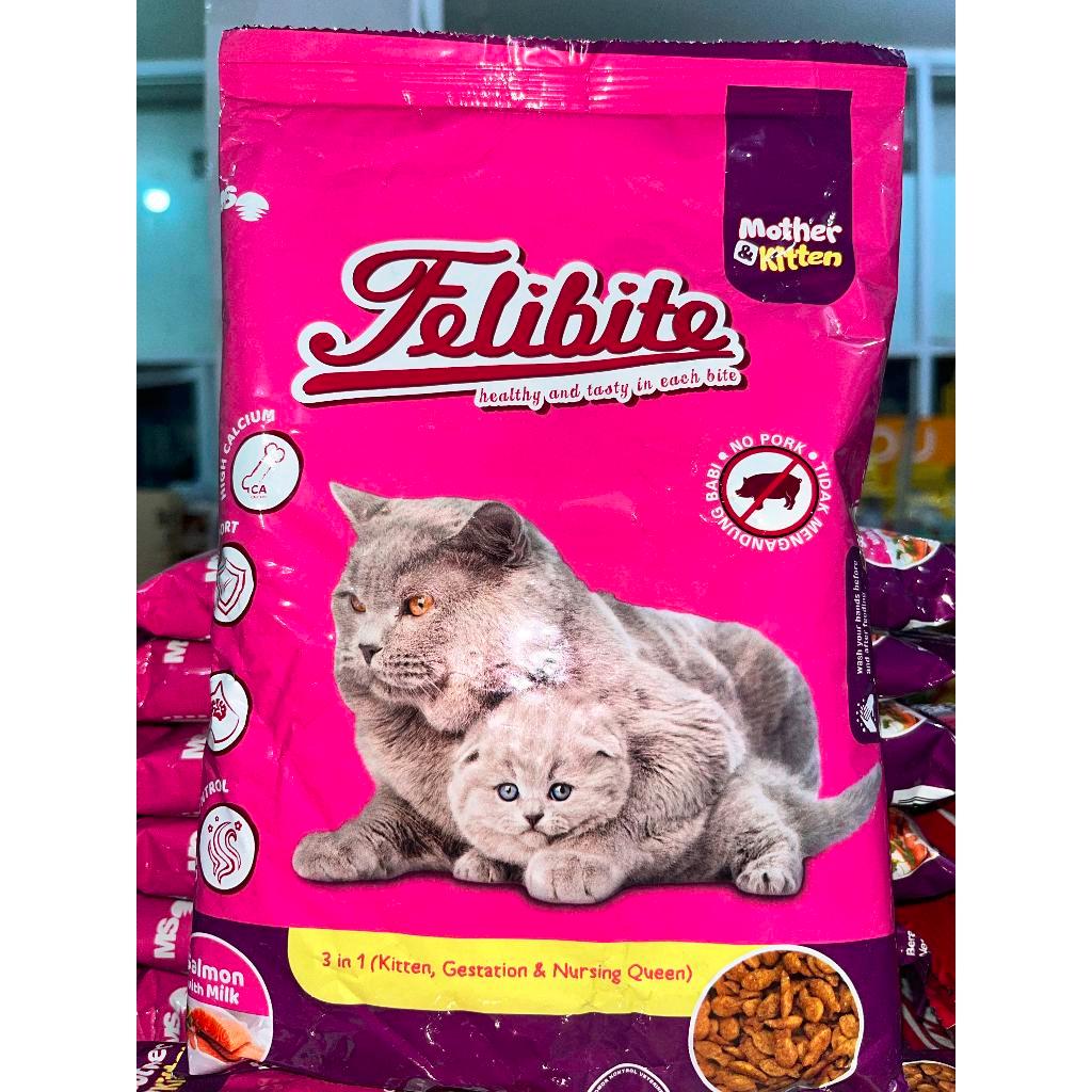 FELIBITE MOTHER & KITTEN 500gr Felibite mother & kitten IKAN