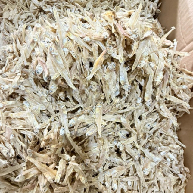 Teri Bunga Tawar 250gram Ikan Asin Teri Bunga Tawar Kering Ikan Asin Teri Tawar Bunga Super Kering T