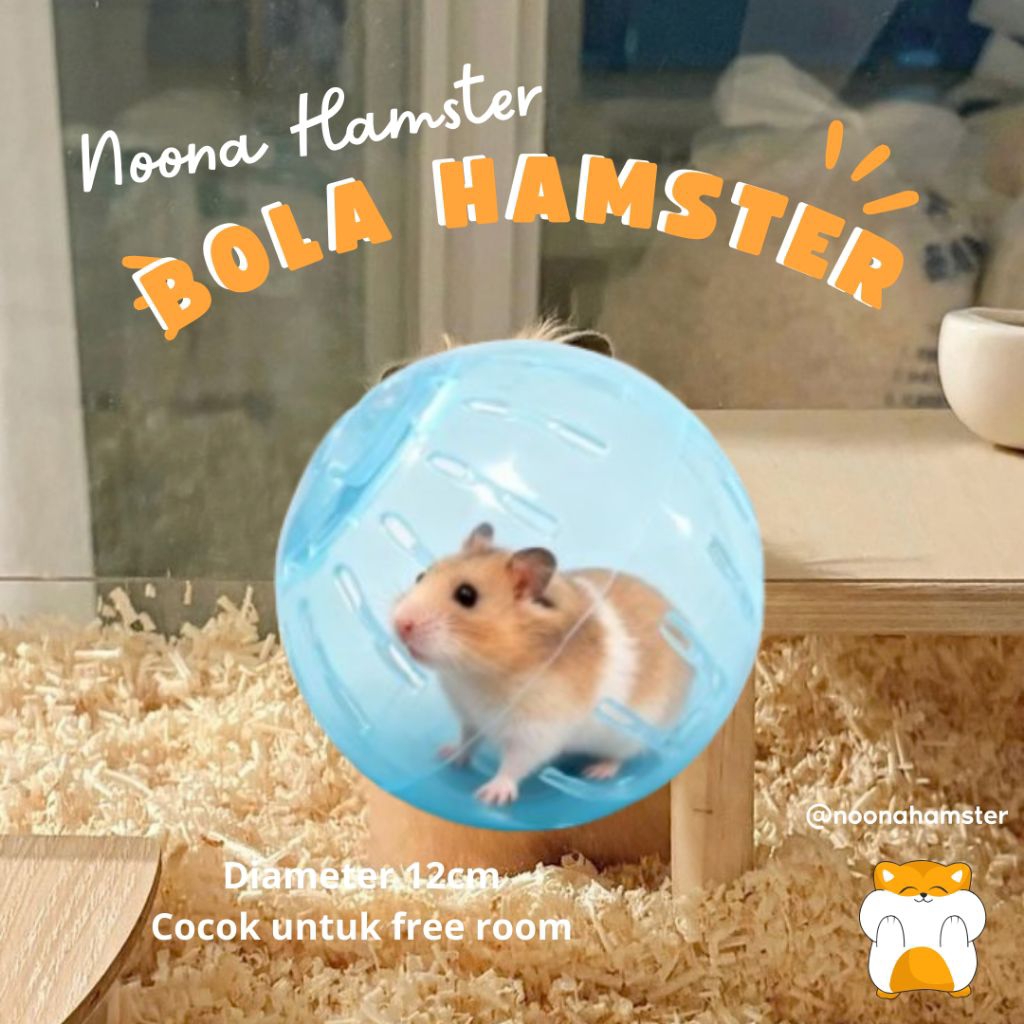 Noona Hamster Bola Hamster Bola Jogging Free Room