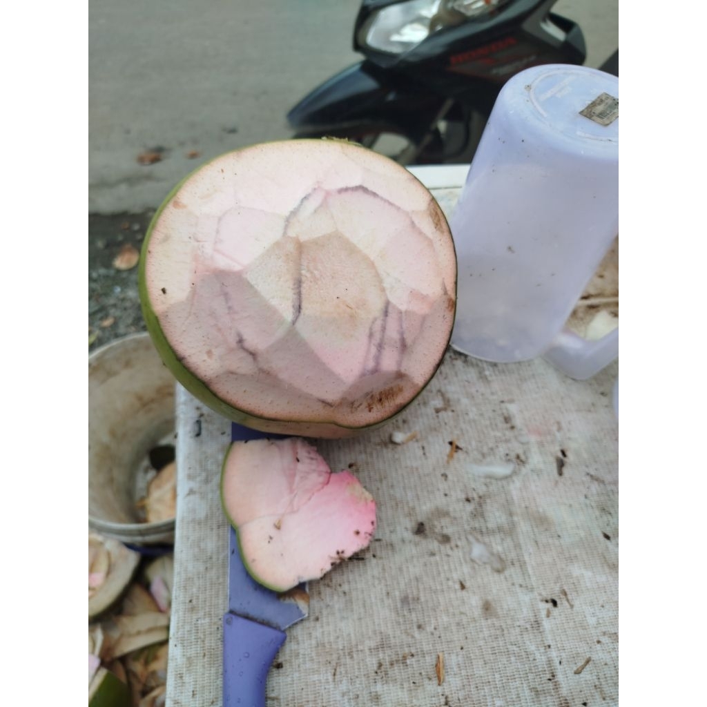 Kelapa muda Wulung/Ijo/ Obat