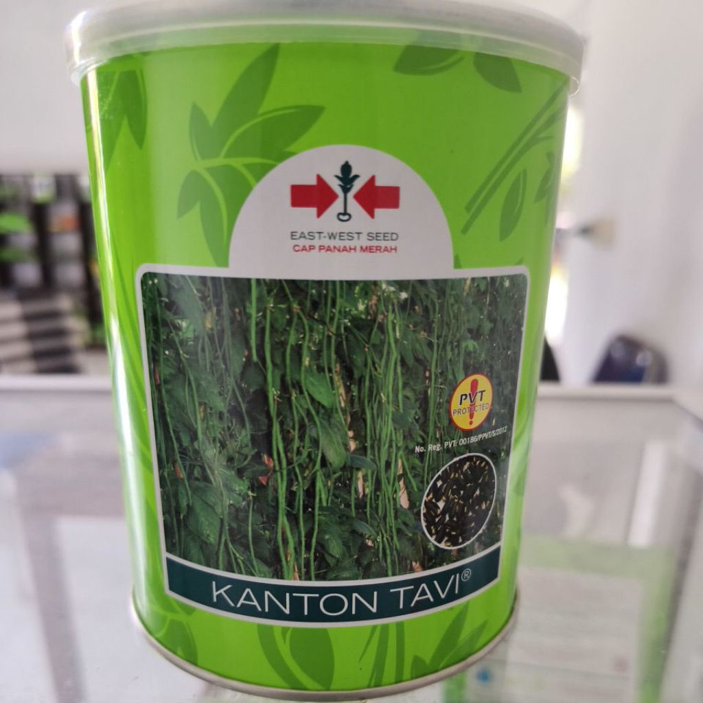 Benih Kacang Panjang Kanton Tavi 500 gr
