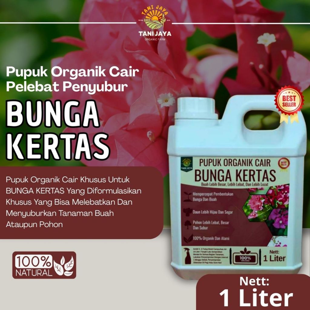 Pupuk Bougenville Cepat Berbunga Pupuk Organik Tanaman Hias Bunga Kertas Lebat Warna Cerah