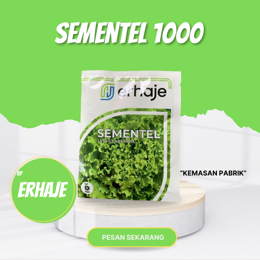 Benih Bejo Seed - Selada Batavia Sementel Kemasan 1000 Pills / Benih Selada