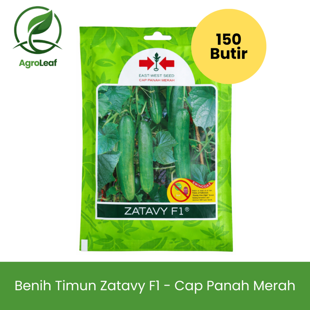 BIBIT TIMUN ZATAVY F1 - CAP PANAH MERAH (150 BUTIR) | Benih Mentimun Hibrida Produktif