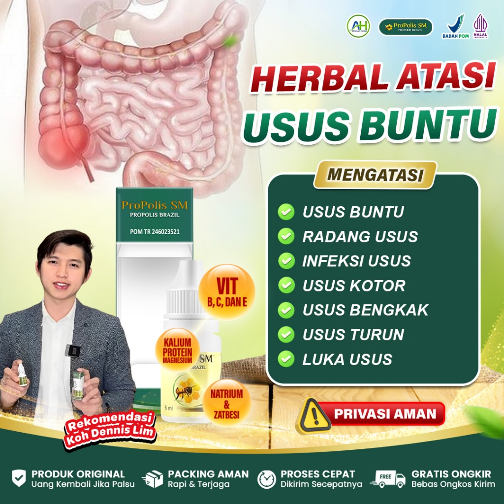 Obat Usus Buntu, Radang Usus, Infeksi Usus Besar, Usus Turun Hernia Turun Berok - Propolis SM Asli