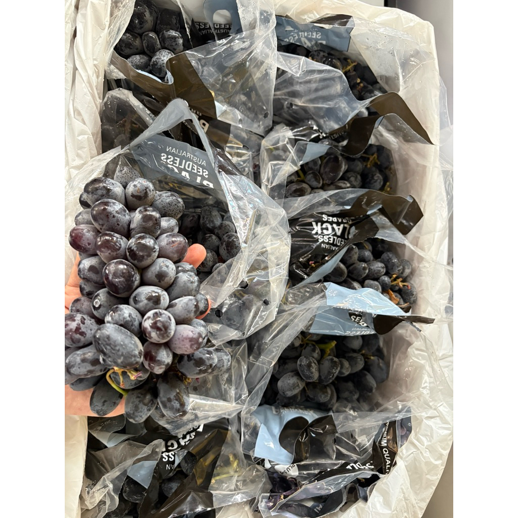Buah Anggur hitam australia midnight beauty