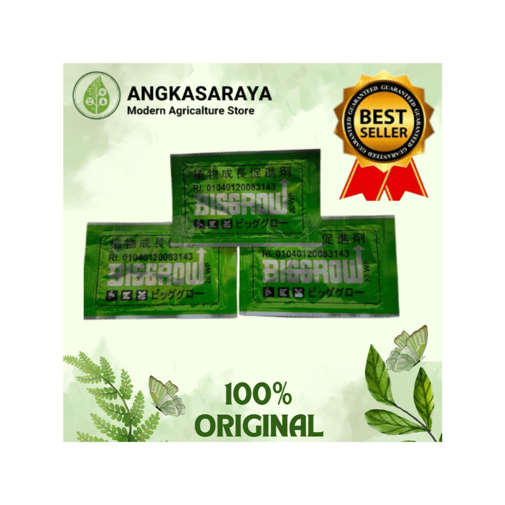 BIG GROW Gibberelic Acid 20 %. ZPT Pembesar Buah