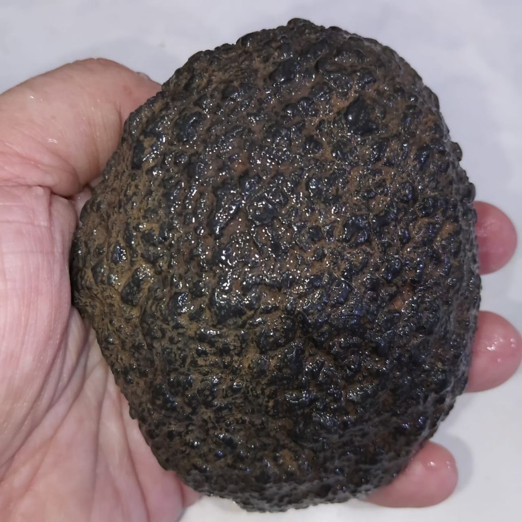 Original Batu Satam Big Size / Ukuran Jumbo