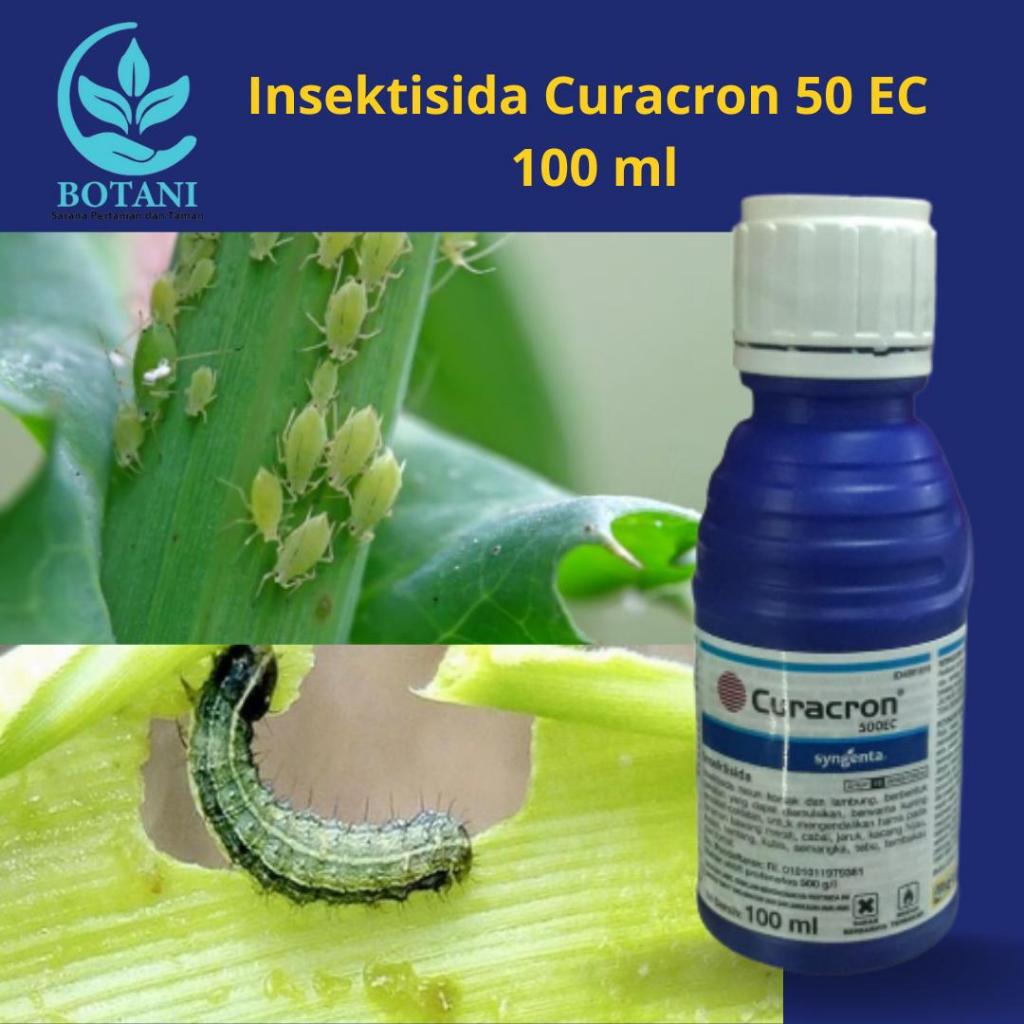 Insektisida Curacron 50 EC Original 100 ml