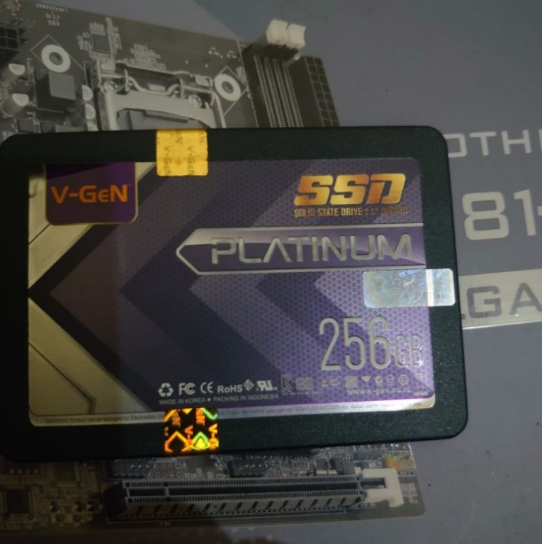 SSD Vgen Platinum 256GB Health 100%