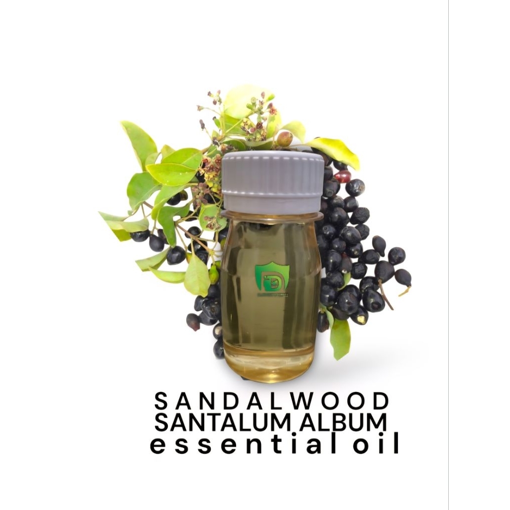 Minyak cendana murni ntt