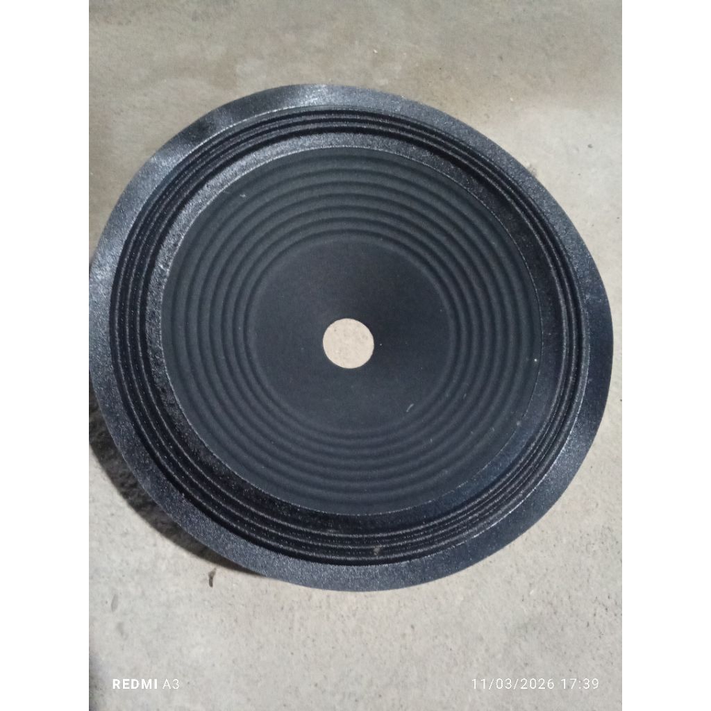 DAUN SPEAKER 12 INC