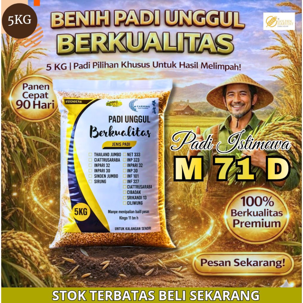 BENIH PADI UNGGUL UMUR 60 HARI M71D
