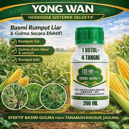 YONGWAN Herbisida Racun Rumput Sistemik Selektif Aman Untuk Tanaman Jagung