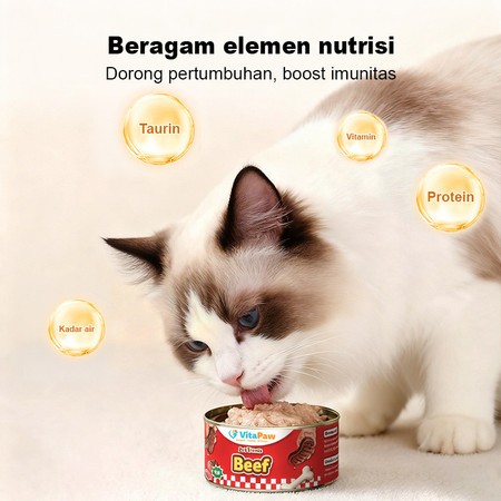Makanan Kaleng Kucing Penuh Nutrisi Makanan Kucing Kaleng Snack Kucing Makanan Kucing Basah Kaleng M