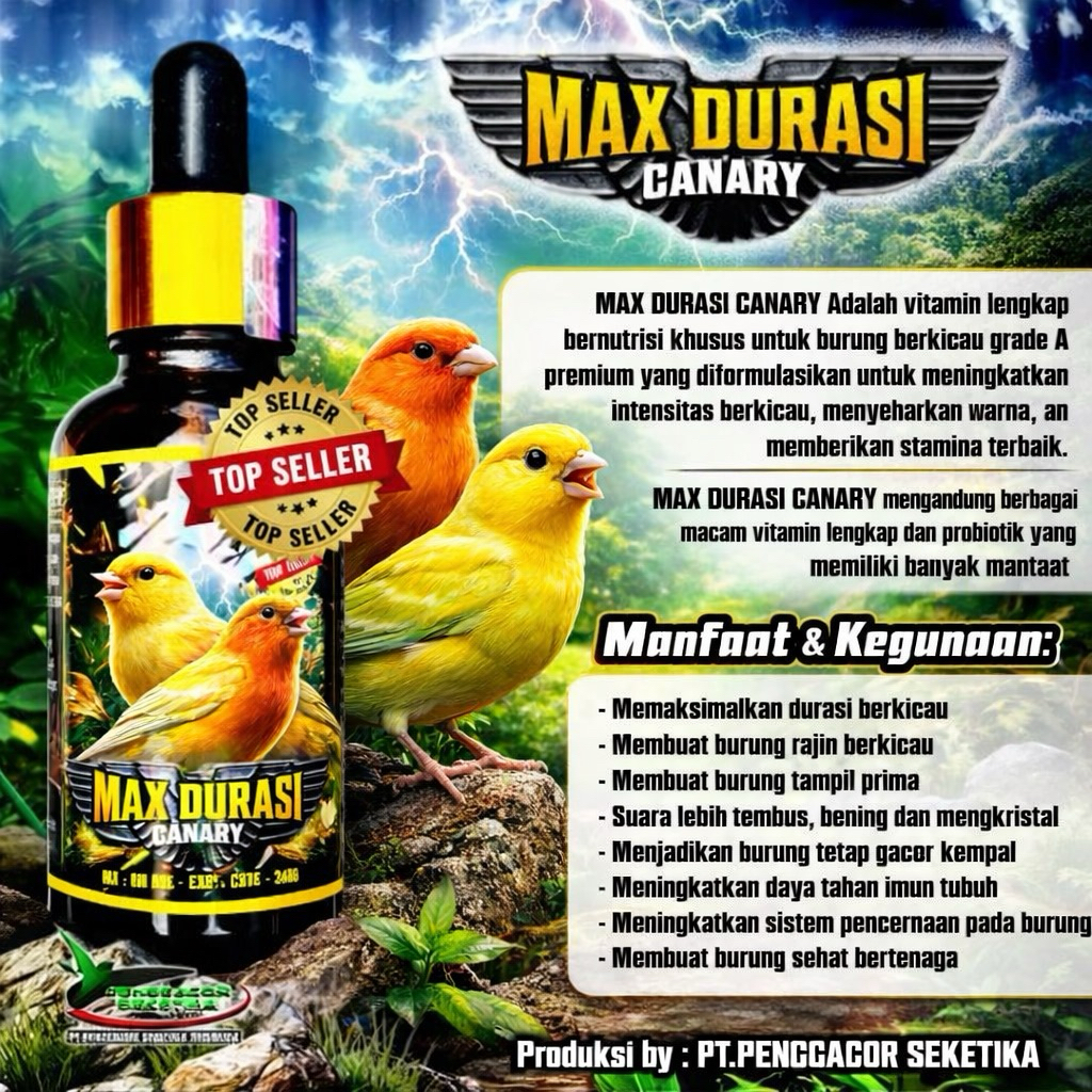 vitamin max durasi kenari burung kenari lovebird murai pleci perkutut gacor Lampam ID