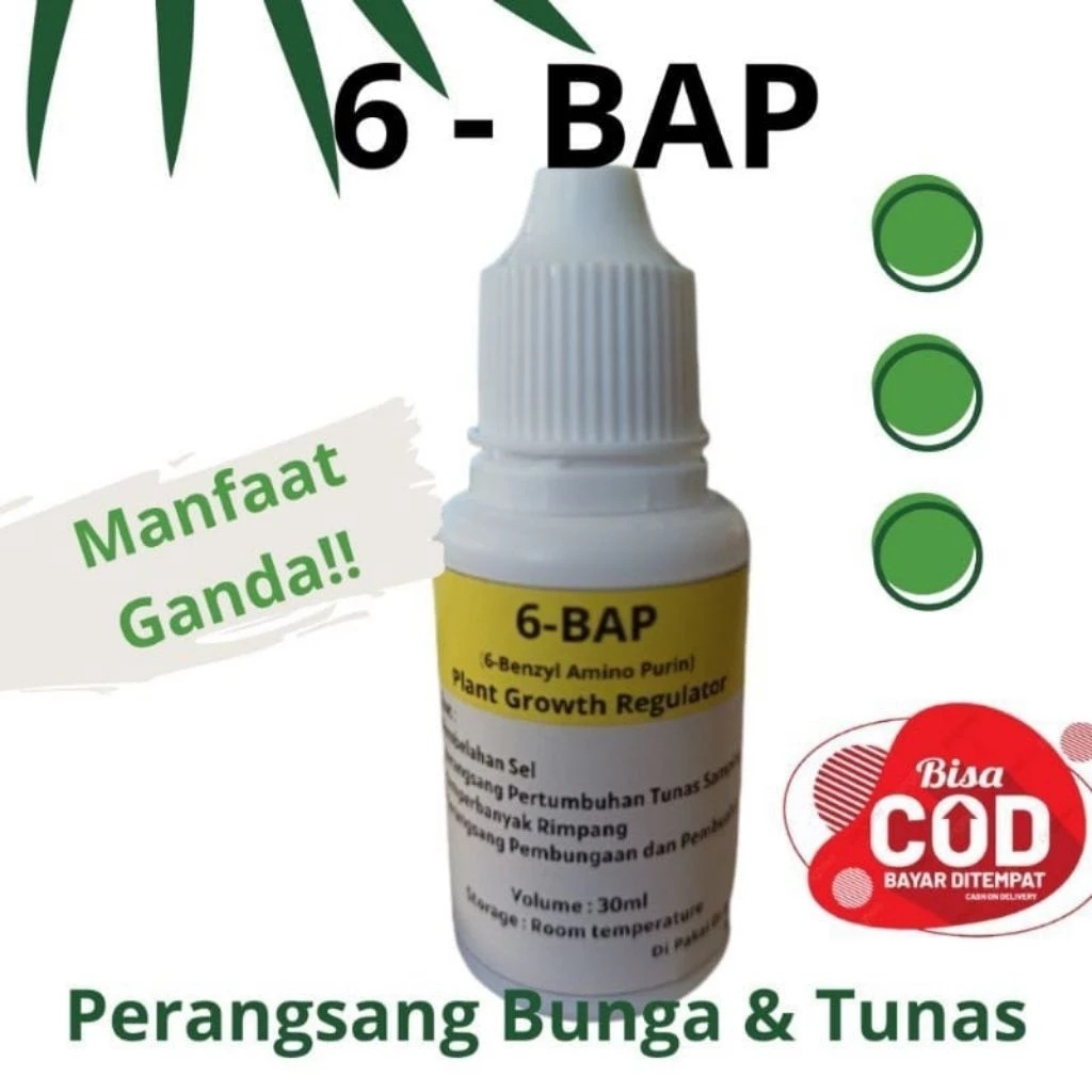 "PROMO HORMON ANGGREK 6BAP" (Perangsang Tunas & Pembungaan Anggrek)