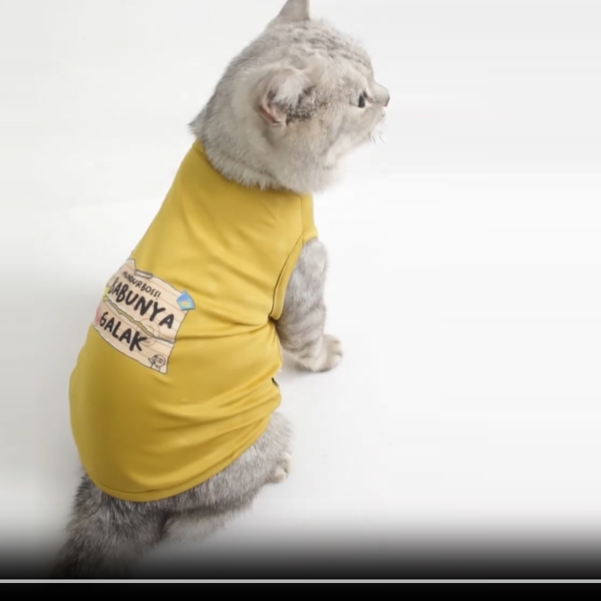 baju anak kucing baju kucing baju anak anjing baju anjing kecil kaos kucing kaus anabul