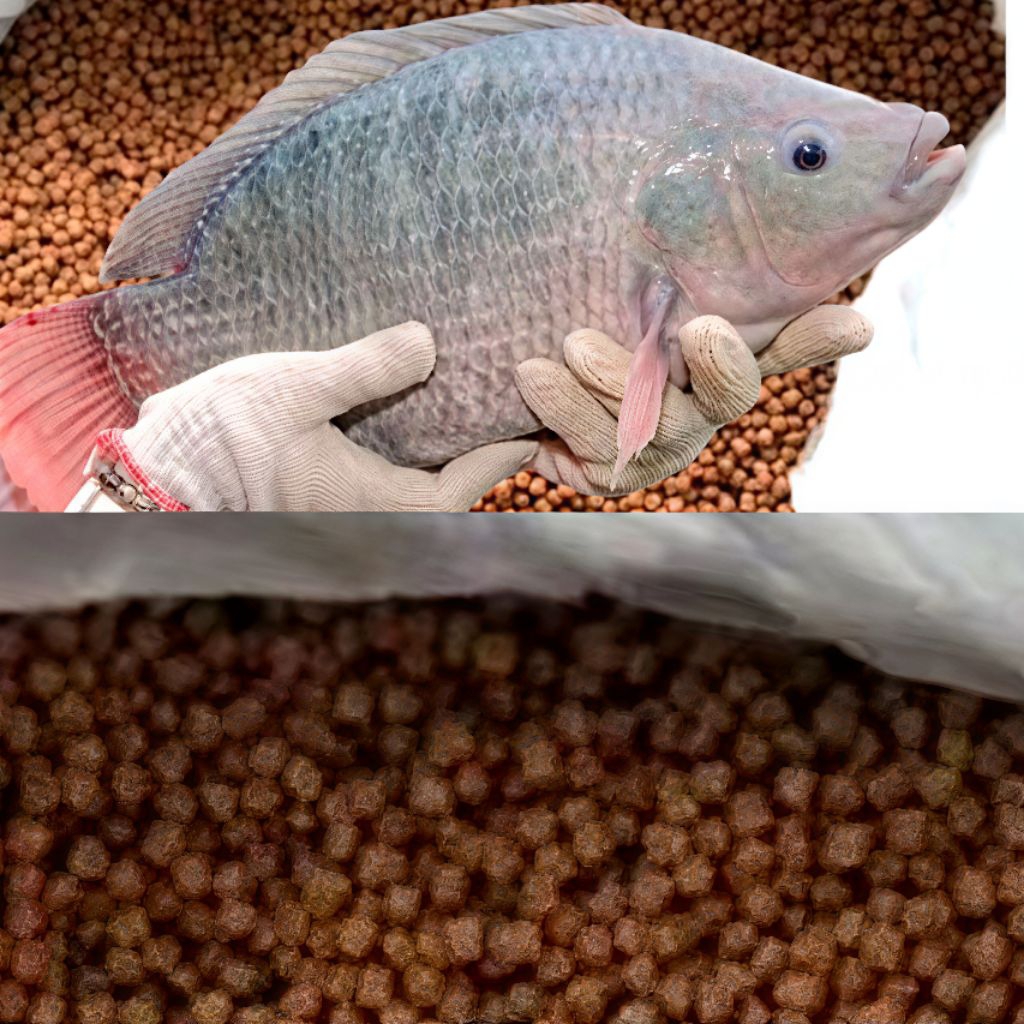 100 Gram Pakan Ikan Nila Hitam Dan merah Pelet Ikan Apung Nutrisi Tinggi Mempercepat Pertumbuah Ikan