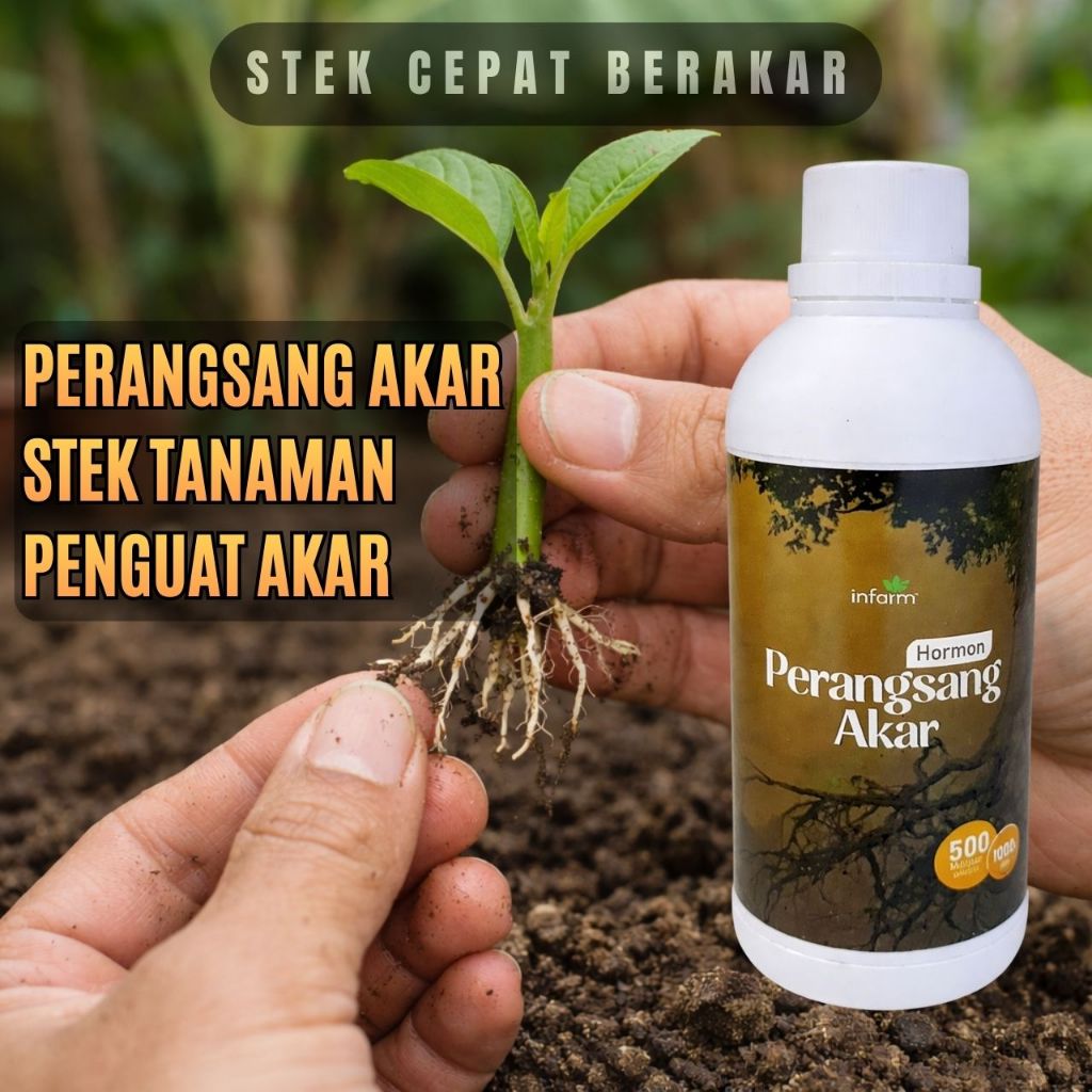 Perangsang Akar Stek Tanaman 500ml Nutrisi Perangsang Akar Stek Cepat Berakar Penguat Akar Tanaman u