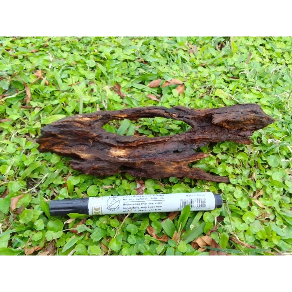 kayu rentek tenggelam aquascape