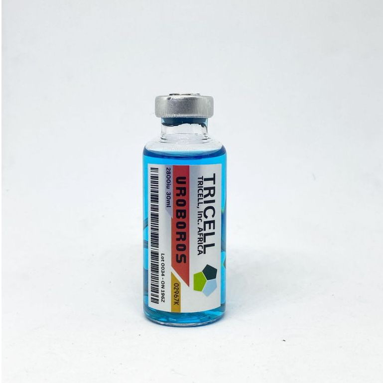 Uroboros Resident Evil RE Umbrella Corp