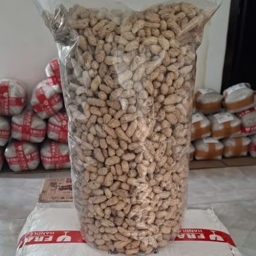 KACANG KULIT SANGRAI FULL 3 KG || gurih | renyah | manis | sedikit