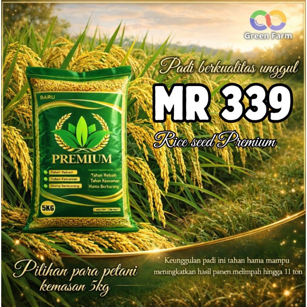 Benih padi unggul bibit padi unggul mr 339 original 5kg