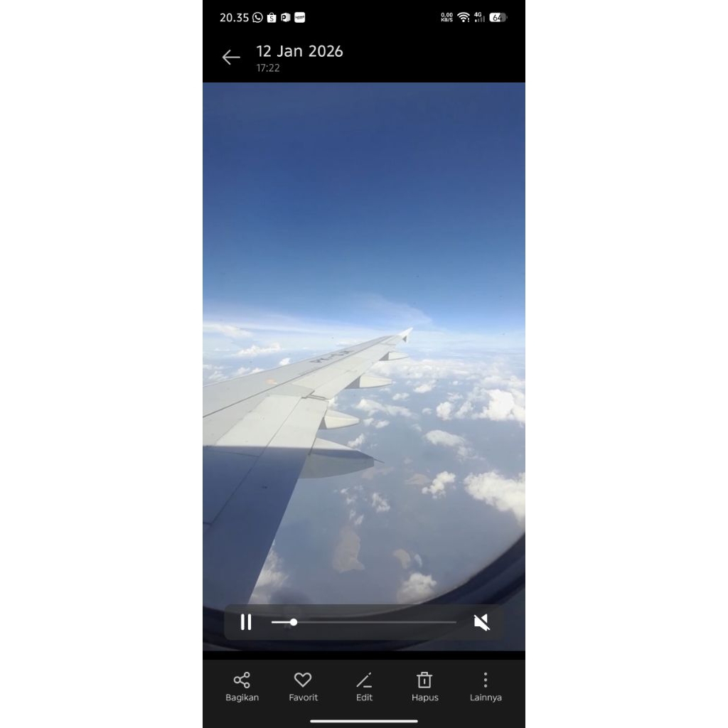 Alpukat mentega segar