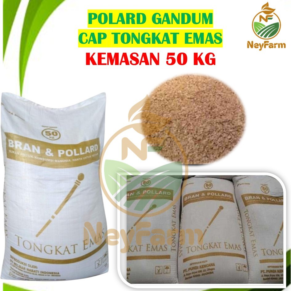 POLLARD Tongkat Emas 50 Kg / BRAN & POLLARD Polar Pakan Sapi - Polar Pakan Kambing