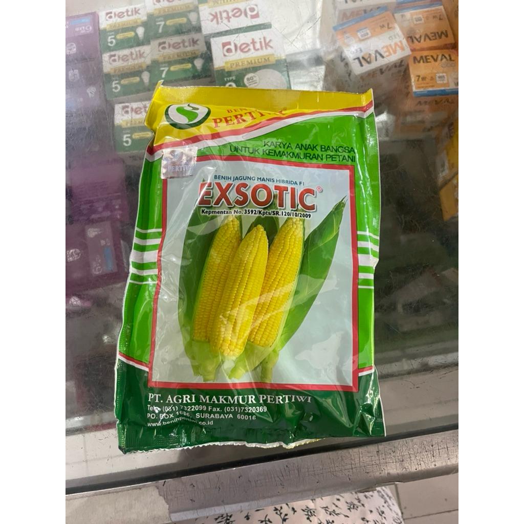 Benih Jagung Manis Exotic Pertiwi F1