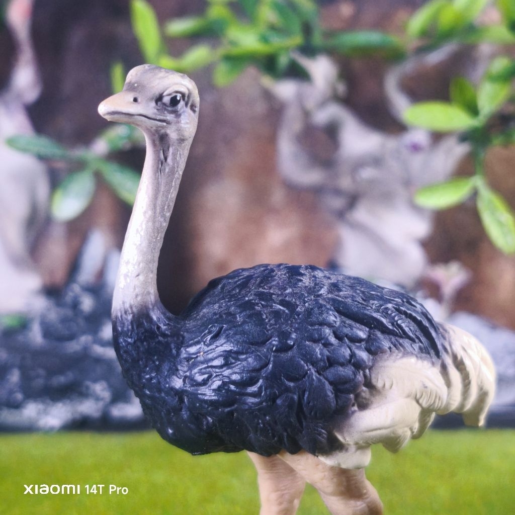 Schleich Ostrich burung unta figure