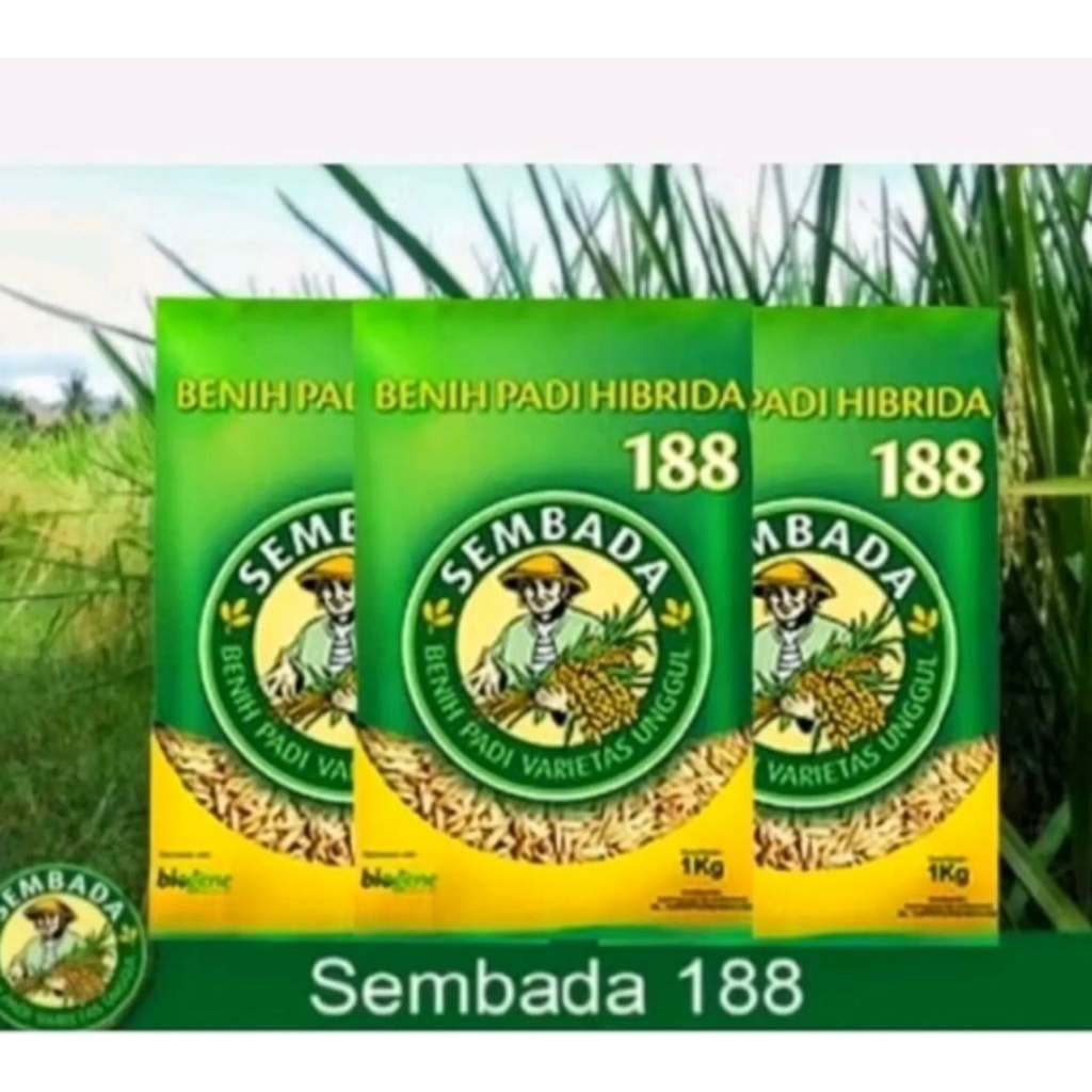 BENIH PADI HIBRIDA SEMBADA 188 1KG Original