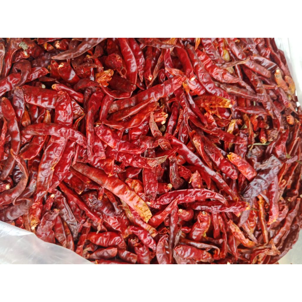 Cabe Kering 1 KG - Super Pedas, Kering, dan Hemat untuk Usaha Makanan