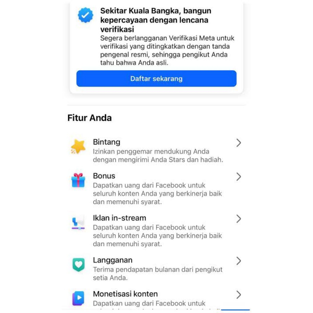 Akun Facebook monetisasi real