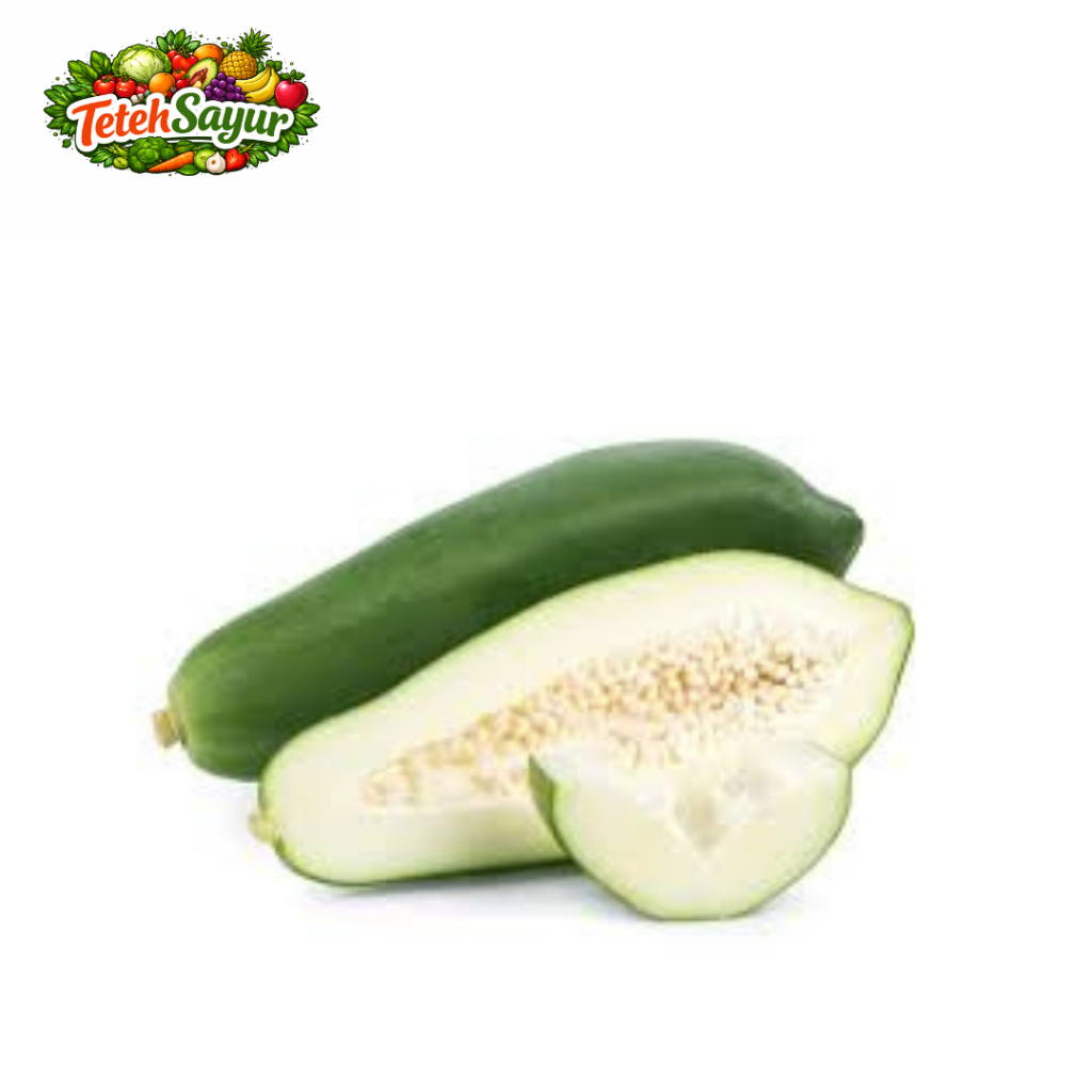 PEPAYA MUDA/ PEPAYA UNTUK SAYUR/PAYA MUDA