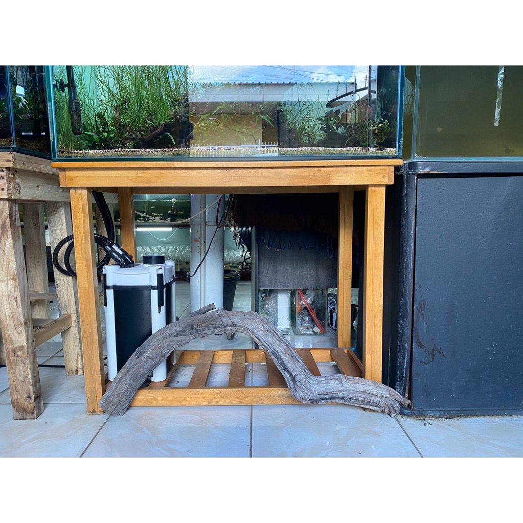 Kayu Akar Santigi Ukuran L Super Hardscape Hiasan Aquarium Aquascape