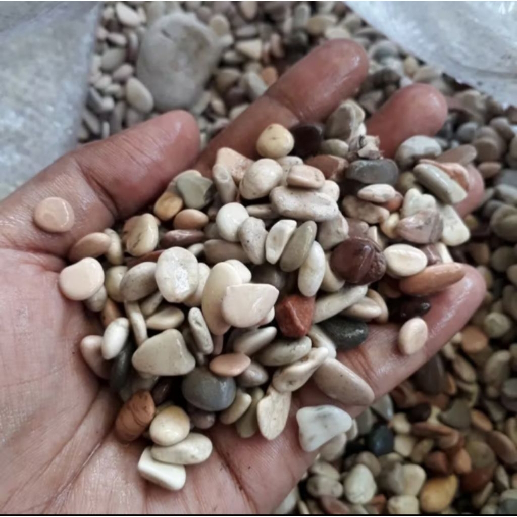 Batu Sikat, Batu Koral Kecil Putih 1kg, Batu Teras, Batu Taman Kecil. RGB.