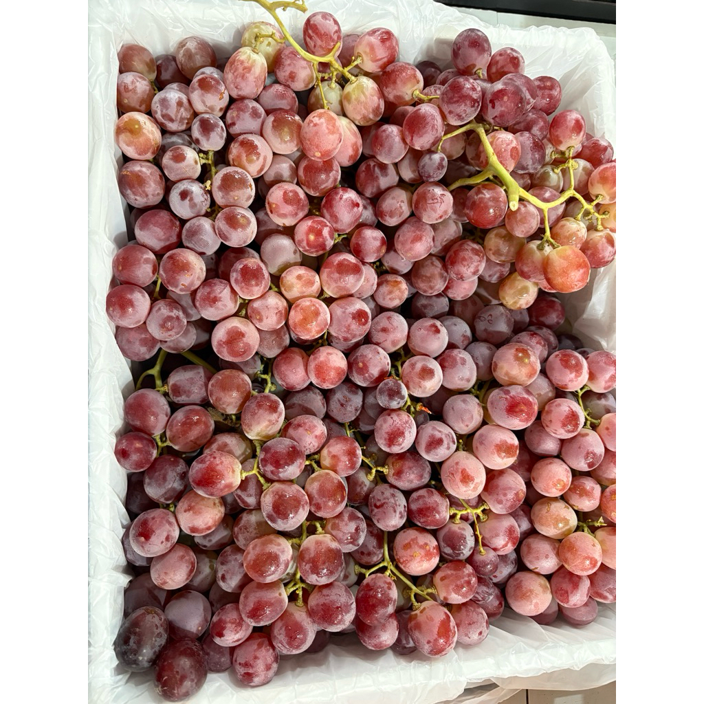 Anggur merah Australia