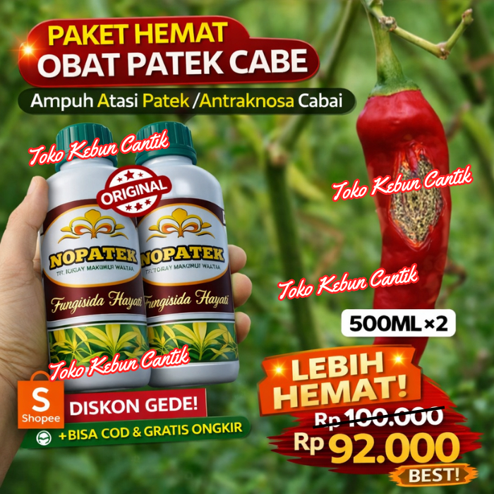 Fungisida Cabai NOPATEK 500ml x2 – Obat Antraknosa & Patek Cabe